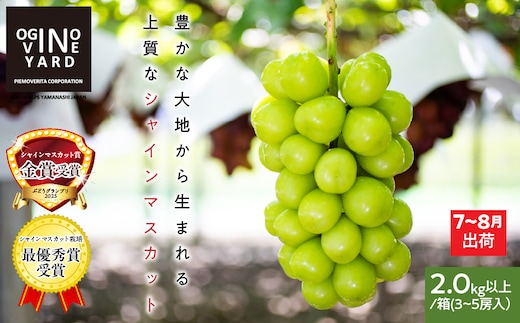 ＜2026年発送先行予約＞山梨県産早期出荷シャインマスカット ２．０ｋｇ以上／箱 ３～５房入 ALPAK012