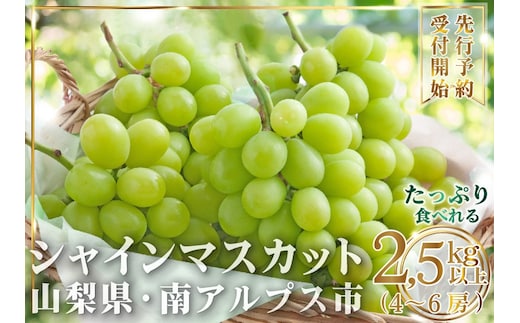 ＜2027年発送先行予約＞【大容量】山梨県産 シャインマスカット2.5kg以上(4～6房) ALPAI025