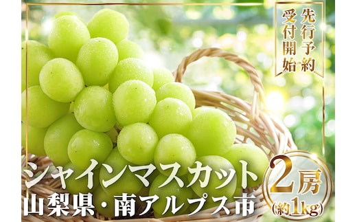 ＜2027年発送先行予約＞山梨県産 シャインマスカット2房(1kg以上) ALPAI027