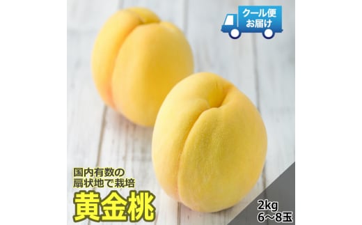 ＜2026年発送先行予約＞クール便 収穫当日に発送 【黄金桃】2kg（6～8玉） ALPDG011