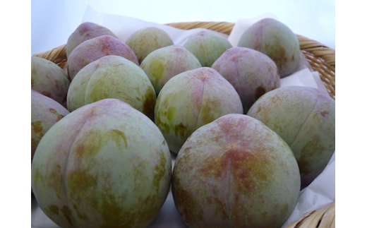 ＜2026年発送先行予約＞すもも「ソルダム」10～13玉入り×2箱約3kg ALPAA002