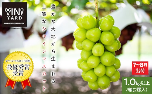 ＜2026年発送先行予約＞山梨県産早期出荷シャインマスカット １．０ｋｇ以上／箱 ２房入 ALPAK009
