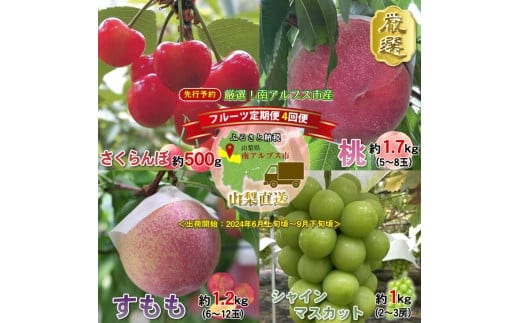 ＜2026年発送分先行予約＞厳選！南アルプス市産 『フルーツ定期４回便』 【さくらんぼ・もも・すもも・シャインマスカット】