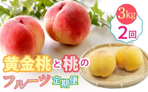 ＜2026年発送先行予約＞黄金桃と桃のフルーツ2回定期便 約3kg ALPDG016