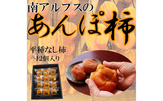 ＜2026年発送分先行予約＞山梨県南アルプス市産 あんぽ柿（平種柿） 大玉12個 化粧箱入り ALPAH006