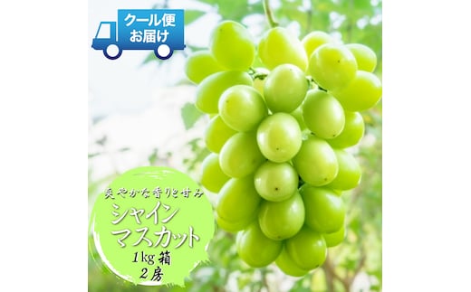 ＜2026年発送先行予約＞安心のクール便発送 収穫当日に産地直送 シャインマスカット 1kg（2房） ALPDB001