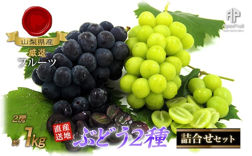 ＜2026年発送先行予約＞ 厳選！南アルプス市産 ぶどう２種詰合せ 2房 約1.0kg ALPDD008