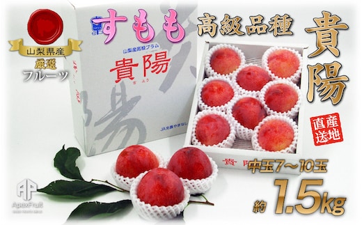 ＜2026年発送先行予約＞ 厳選！南アルプス市産『貴陽』 中玉約1.5kg（7～10玉）