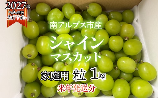 ＜2027年発送先行予約＞南アルプス市産シャインマスカット家庭用 粒1kg クール便発送 ALPAG012