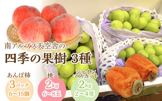 ＜通年受付＞南アルプス天空舎四季の果樹3種その1（あんぽ柿,もも,シャインマスカット） ALPAB007