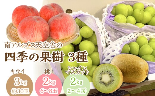 ＜通年受付＞南アルプス天空舎四季の果樹3種その2（キウイ,もも,シャインマスカット） ALPAB008