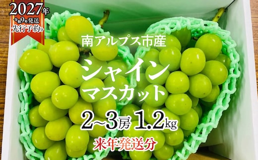 ★フジテレビ系列「ノンストップ」で取り上げられました！★＜2027年発送先行予約＞南アルプス市産シャインマスカット1.2kg以上（2～3房） クール便発送 ALPAG007