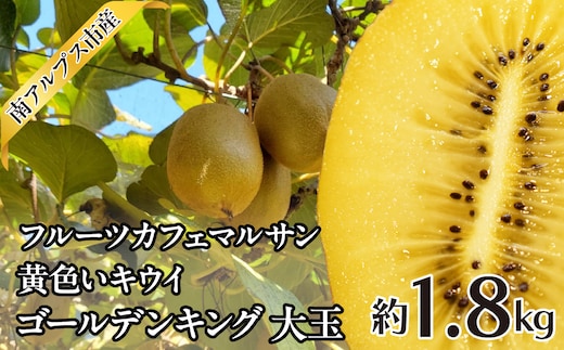 ＜2026年10月上旬～10月中旬＞フルーツカフェマルサン 黄色いキウイ ゴールデンキング 大玉 約1.8kg ALPAJ045