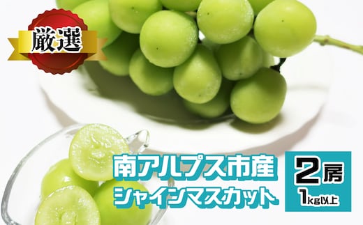 ＜2026年発送先行予約＞南アルプス市産 シャインマスカット 1.0kg以上 （約500×2房） ALPEV003