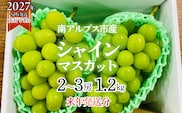 ★フジテレビ系列「ノンストップ」で取り上げられました！★＜2027年発送先行予約＞南アルプス市産シャインマスカット1.2kg以上（2～3房）　クール便発送 ALPAG007