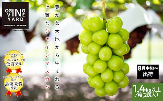 ２０２６年秋収穫先行予約 山梨県産シャインマスカット １．４ｋｇ以上／箱 ２房入 ALPAK006