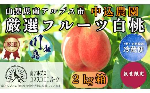 ＜2026年発送先行予約＞ 山梨県南アルプス市産 厳選桃 (川中島) 2kg ALPEM002