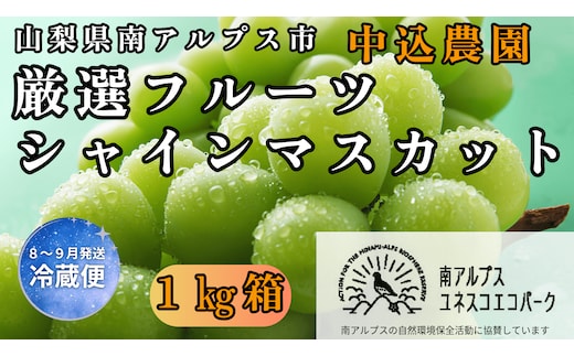 ＜2026年発送先行予約＞ 山梨県南アルプス市産 厳選 シャインマスカット 約1kg ALPEM003