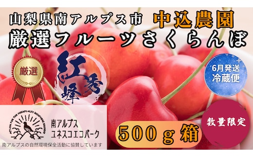 ＜2026年発送先行予約＞ 山梨県南アルプス市産 厳選さくらんぼ (紅秀峰) 500g ALPEM004