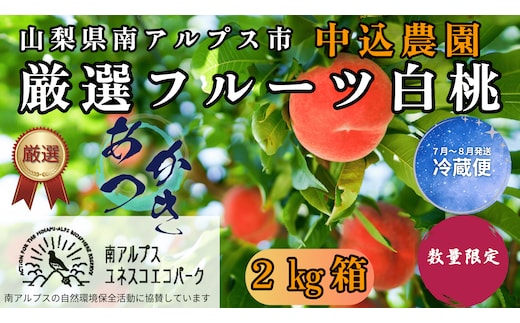 ＜2026年発送先行予約＞ 山梨県南アルプス市産 厳選桃 (あかつき) 2kg ALPEM006