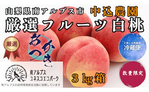 ＜2026年発送先行予約＞ 山梨県南アルプス市産 厳選桃 (あかつき) 3kg ALPEM007