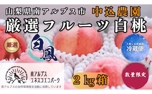 ＜2026年発送先行予約＞ 山梨県南アルプス市産 厳選桃 (白鳳) 2kg ALPEM008