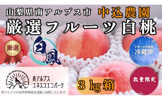 ＜2026年発送先行予約＞ 山梨県南アルプス市産 厳選桃 (白鳳) 3kg ALPEM009