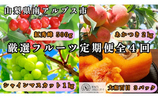 ＜2026年発送先行予約＞山梨県南アルプス市産 厳選フルーツ定期便全4回A(さくらんぼ・桃・シャインマスカット1kg・あんぽ柿) ALPEM015