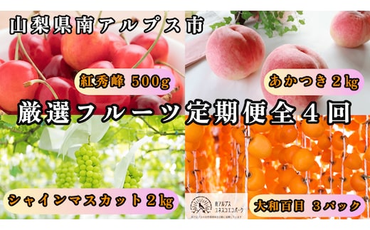 ＜2026年発送先行予約＞山梨県南アルプス市産 厳選フルーツ定期便全4回B(さくらんぼ・桃・シャインマスカット2kg・あんぽ柿) ALPEM016