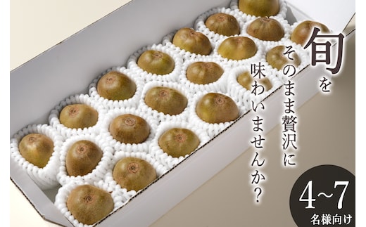 ＜先行予約2026年＞南アルプス市産 完熟レッドキウイ 1.6kg(21~24個入) ALPAL053