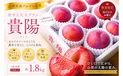 ＜2026年発送先行予約＞南アルプス市芦安産 すもも「貴陽」約1.8kg（8～11玉入り） ALPFN009