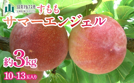 ＜2026年発送先行予約＞すもも「サマーエンジェル」10～13玉入り×2箱約3kg ALPAA015