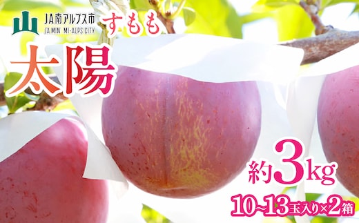 【2027年(令和9年)発送先行予約】来年発送！！すもも「太陽」10～13玉入り×2箱約3kg ALPAA016