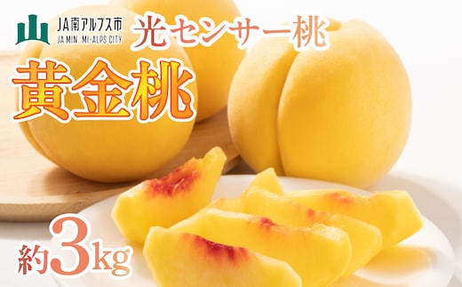 【2027年(令和9年)発送先行予約】来年発送！！光センサー桃「黄金桃」約3kg ALPAA017