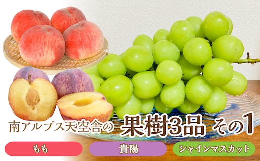 ＜通年受付＞南アルプス天空舎の果樹3品その1（もも,貴陽,シャインマスカット） ALPAB009