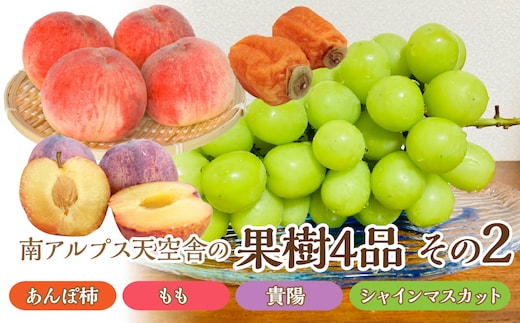 ＜通年受付＞南アルプス天空舎の果樹4品その2（あんぽ柿,もも,貴陽,シャインマスカット） ALPAB010