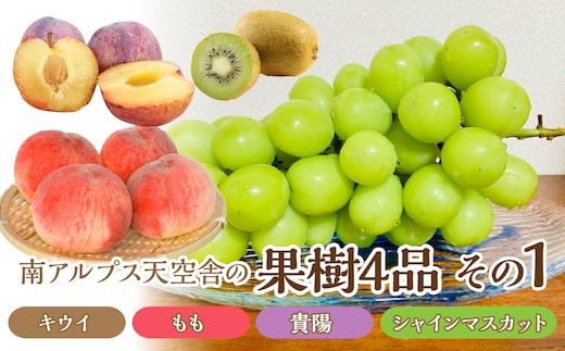 ＜通年受付＞南アルプス天空舎の果樹4品その1（キウイ,もも,貴陽,シャインマスカット） ALPAB011