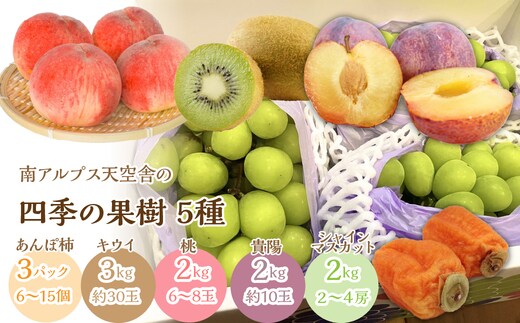 ＜通年受付＞南アルプス天空舎四季の果樹5種（あんぽ柿,キウイ,もも,貴陽,シャインマスカット） ALPAB012