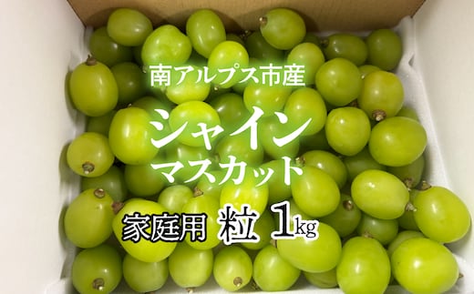 ＜2026年発送先行予約＞南アルプス市産シャインマスカット家庭用 粒1kg クール便発送 ALPAG012
