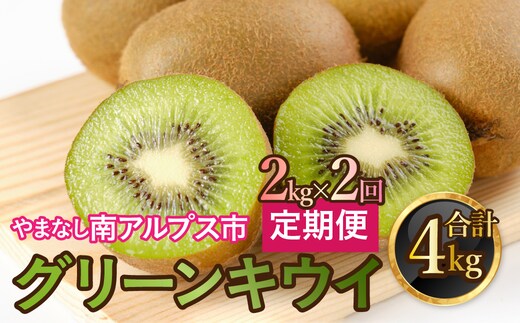 【通年受付】山梨県南アルプス市産 キウイ定期便 約2kgｘ2回 ALPAH039