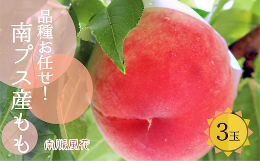 ＜2026年発送分先行予約＞朝もぎ直送！桃 食べきりサイズ3玉 ALPAJ002