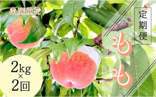 【2026年発送先行予約】山梨県産桃 定期便2.0kg×2回 ALPAJ022