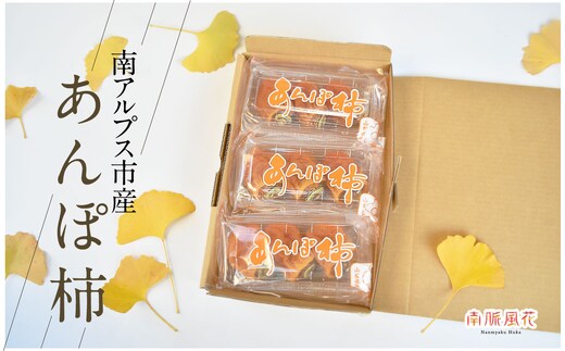 【2026年11月初旬より発送予定】5-277 南アルプス市産 あんぽ柿 ９玉 ALPAJ025