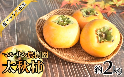 【2026年発送先行予約】マルサン農樹園 太秋柿2.0kg相当 ALPAJ050