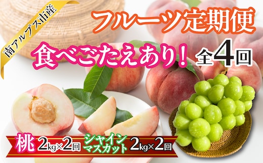 【2026年度 先行予約】食べごたえあり！フルーツ4回定期便（桃2.0kg×2回 シャインマスカット2.0kg×2回） | くだもの 果物 フルーツ もも シャインマスカット ブドウ ぶどう 葡萄 山梨県産 産地直送 農家直送 新鮮 美味しい 南アルプス市 ALPAJ052