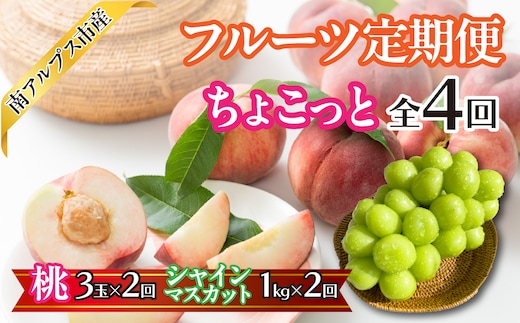 【2026年度 先行予約】 【ちょこっと】 フルーツ4回定期便（桃3玉×2回 | シャインマスカット1.0kg×2回） くだもの 果物 フルーツ もも ブドウ ぶどう 葡萄 山梨県産 産地直送 農家直送 新鮮 美味しい 南アルプス市 ALPAJ053