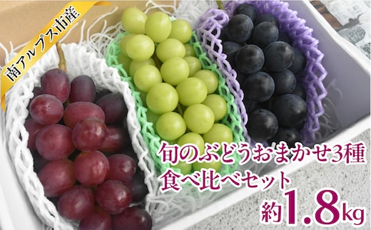 【2026年度先行予約】旬のぶどうおまかせ3種食べ比べセット 1.8kg相当 ALPAJ071