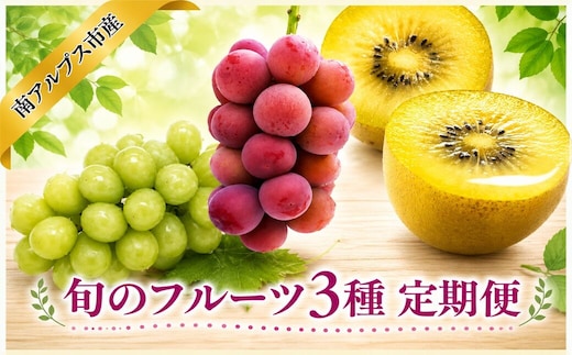 【通年受付】南アルプス産 旬のフルーツ3種 定期便 全3回 ALPAJ073