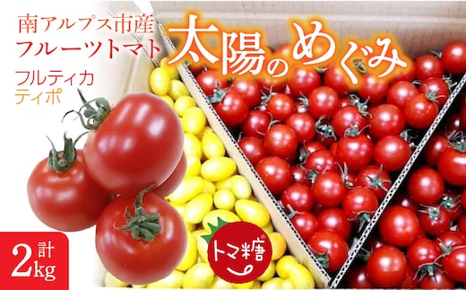 フルーツトマト「太陽のめぐみ」2kg（フルティカ＆ティポ） ALPBI003