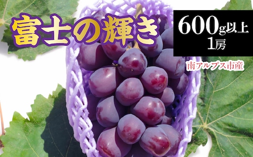 【2026年発送先行予約】南アルプス市産 富士の輝き1房(600g以上) ALPDD021
